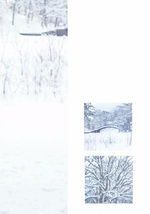 Whoseman-11-國民男友-阿部